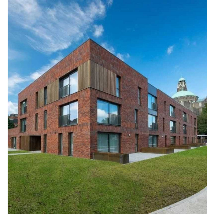 Кирпич облицовочный Terca Passiebloem, 215х102х65 мм фото 2