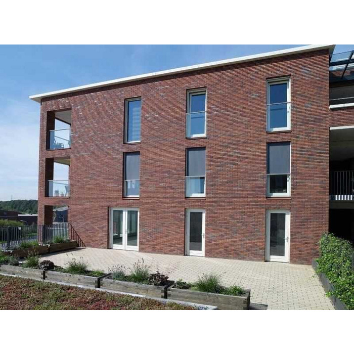 Кирпич облицовочный Terca Passiebloem, 215х102х65 мм фото 4