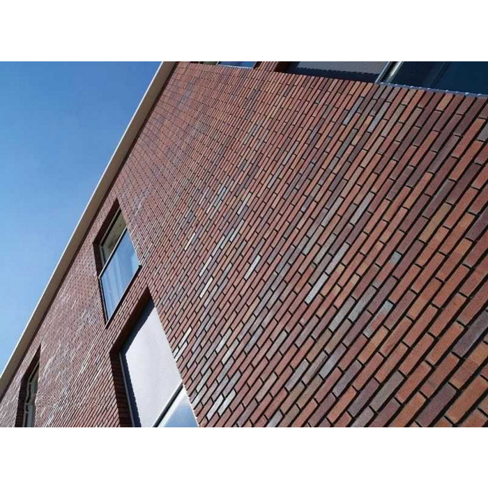 Кирпич облицовочный Terca Passiebloem, 215х102х65 мм фото 6