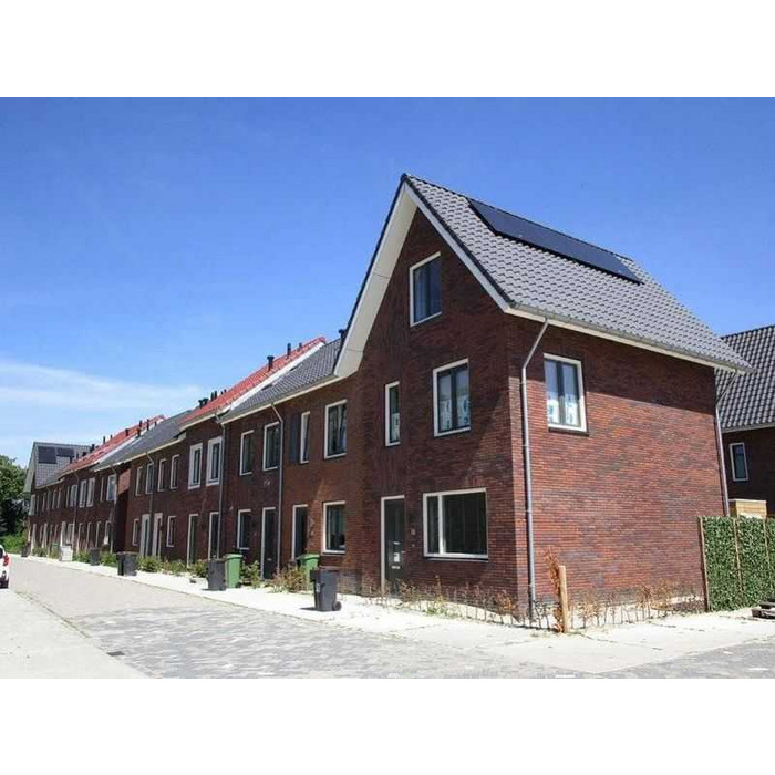 Кирпич облицовочный Terca Passiebloem, 215х102х65 мм фото 9