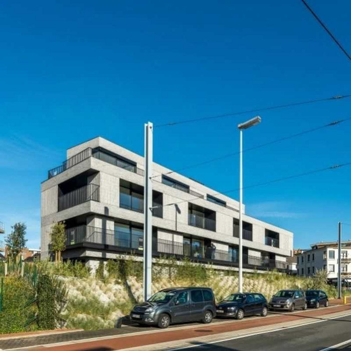 Кирпич облицовочный Terca Imperium Flavious, 238х90х40 мм фото 5