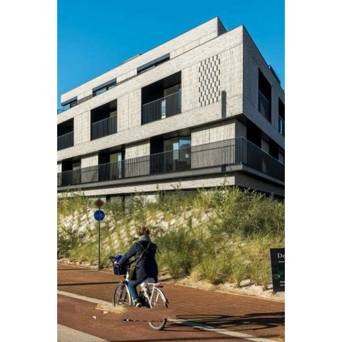 Кирпич облицовочный Terca Imperium Flavious, 238х90х40 мм фото 9