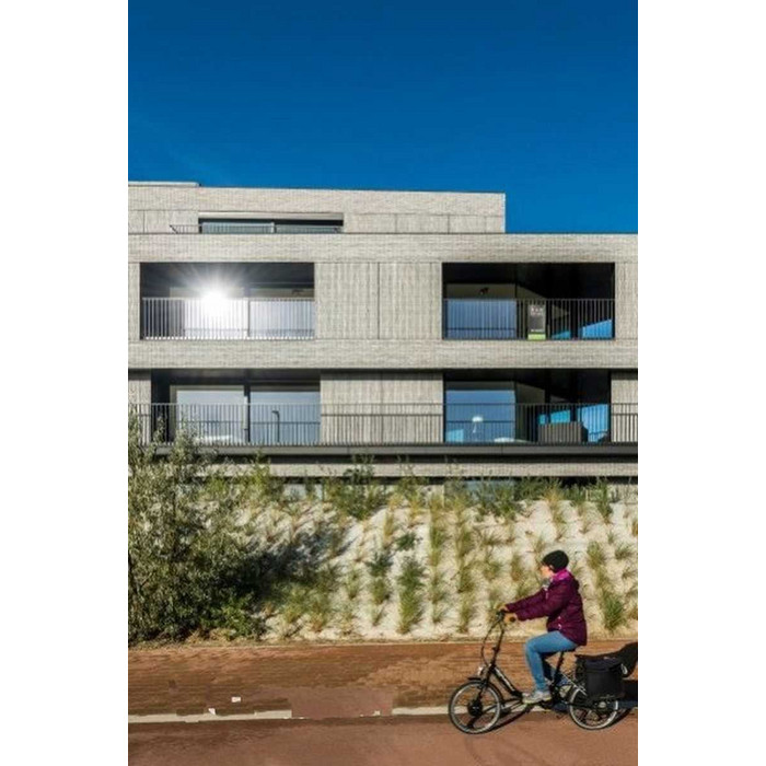 Кирпич облицовочный Terca Imperium Flavious, 238х90х40 мм фото 6