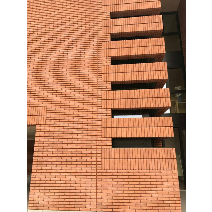 Кирпич S.Anselmo Superior Line Rosso Sabbia Rossa, Selmo, 240х115х70 мм фото 2