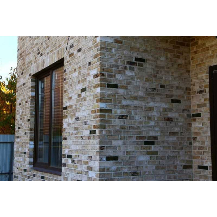 Кирпич облицовочный ENGELS Canyon (zonder vierdeling), 214х45-50х66 мм фото 5