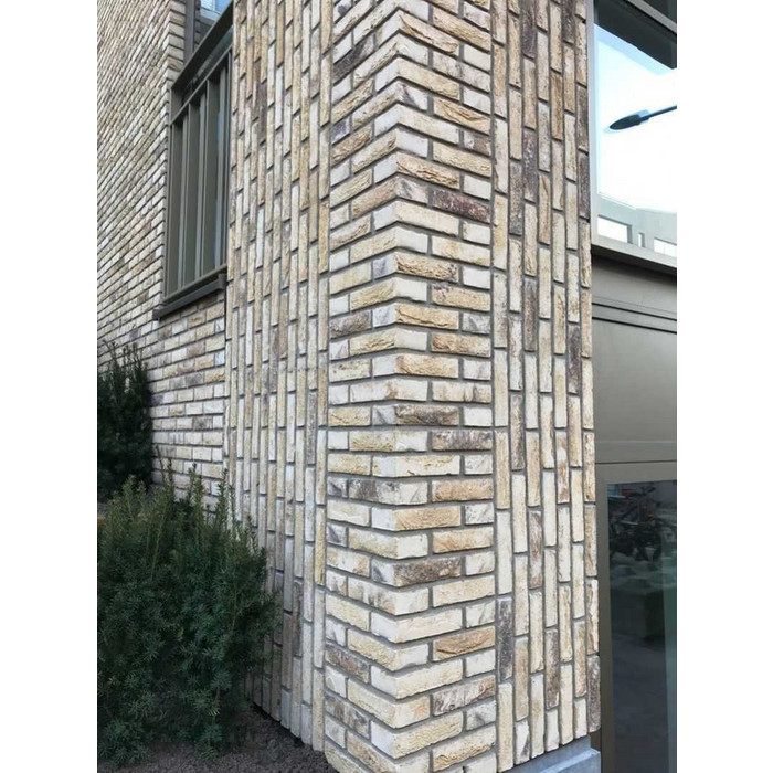 Кирпич облицовочный ENGELS Tanganyika, 209х101х50 мм фото 10