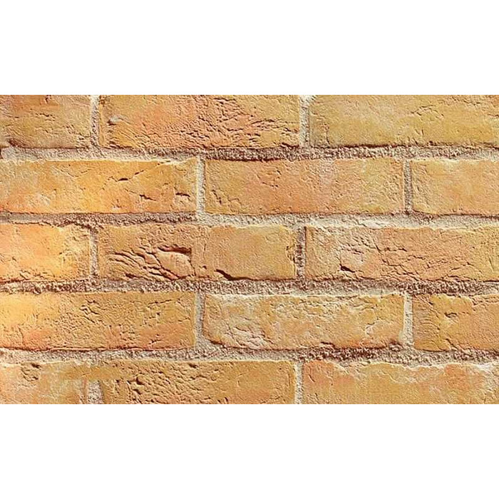 Кирпич облицовочный Terca Corona, 215х102х65 мм фото 2