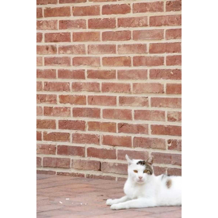 Облицовочный кирпич Terca Opus, 215х102х65 мм фото 10