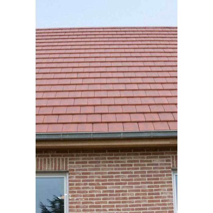 Облицовочный кирпич Terca Opus, 215х102х65 мм фото 8