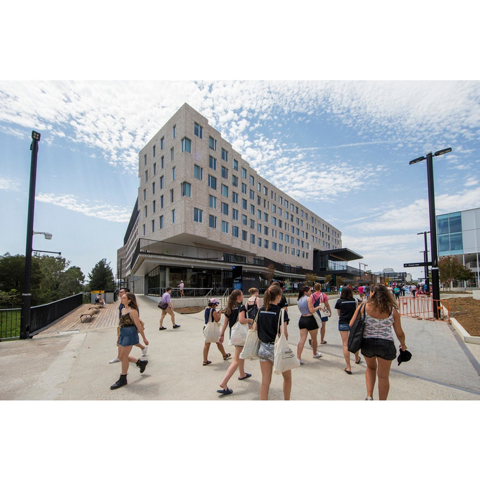 Кирпич S.Anselmo Superior Line Light, Selmo, 240х55х70 мм фото 4