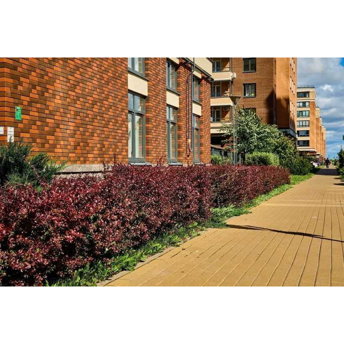 Кирпич Terca Old Roman облицовочный 215х102х65 мм фото 10