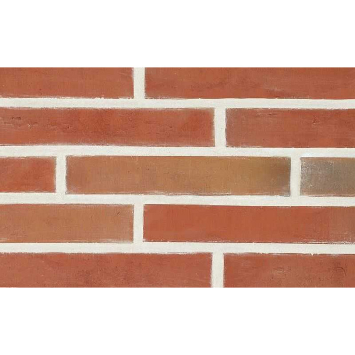 Кирпич облицовочный Terca Linnaeus Robinia, 288х88х48 мм фото 5