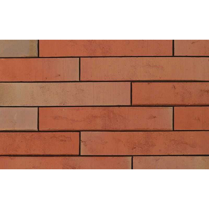 Кирпич облицовочный Terca Linnaeus Robinia, 288х88х48 мм фото 6