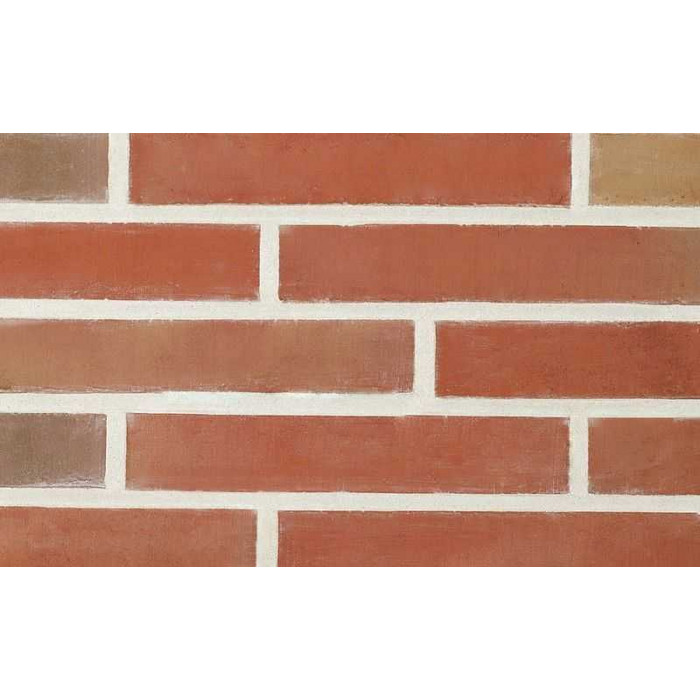 Кирпич облицовочный Terca Linnaeus Robinia, 288х88х48 мм фото 4