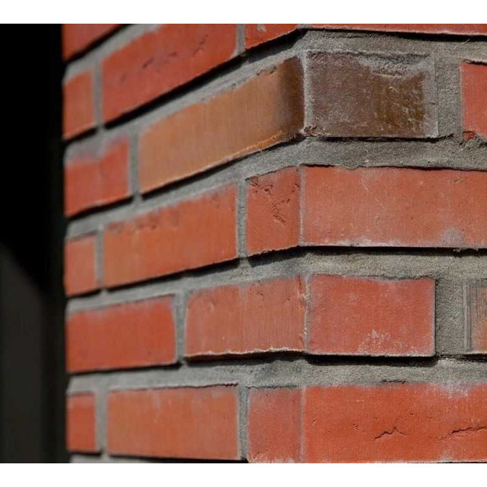 Кирпич облицовочный Terca Linnaeus Robinia, 288х88х48 мм фото 8