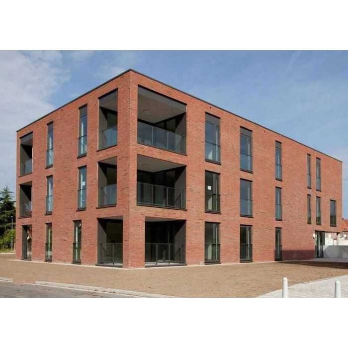 Кирпич облицовочный Terca Linnaeus Robinia, 288х88х48 мм фото 7