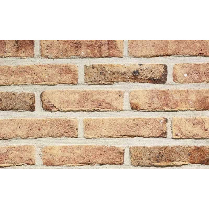 Кирпич облицовочный Terca Rosebrand, 188х88х48 фото 2