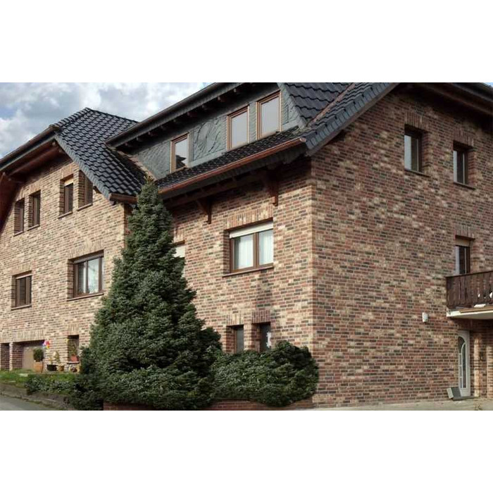 Кирпич облицовочный Roben Dykbrand braunweiss-bunt, 240х115х71 мм фото 2