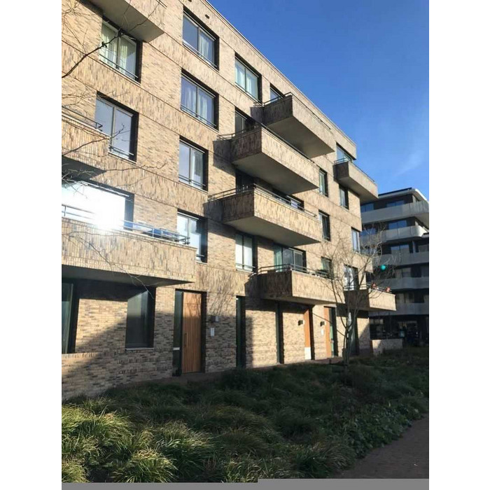 Кирпич облицовочный ENGELS Ogenagaat, 213х45-50х66 мм фото 7