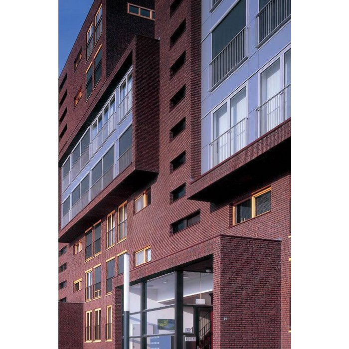 Кирпич S.Anselmo Superior Line Rosso Impero, Selmo, 240х55х70 мм фото 3