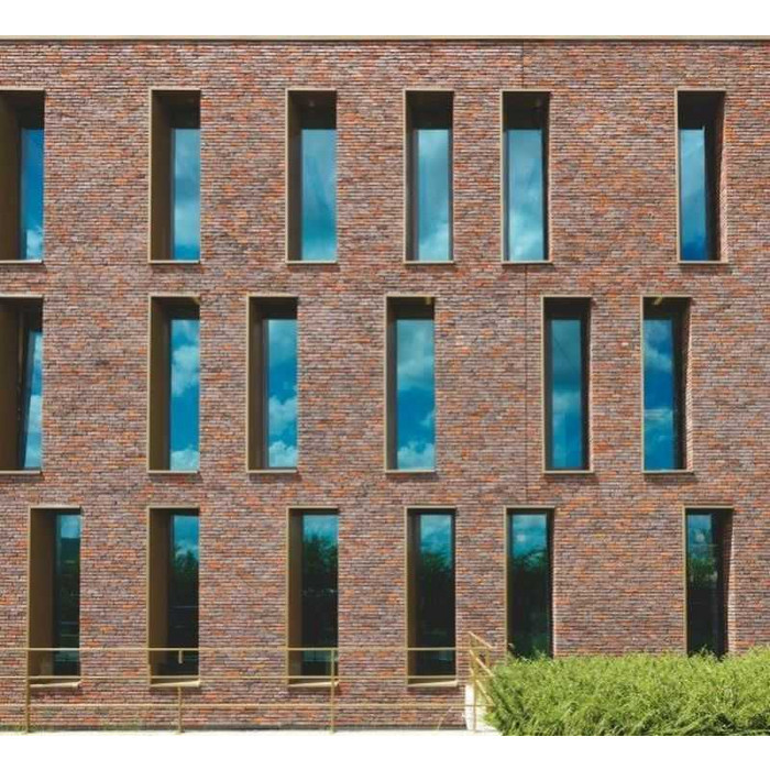 Кирпич облицовочный Terca Ringoven Paarsblauw, 208х98х38 мм фото 9