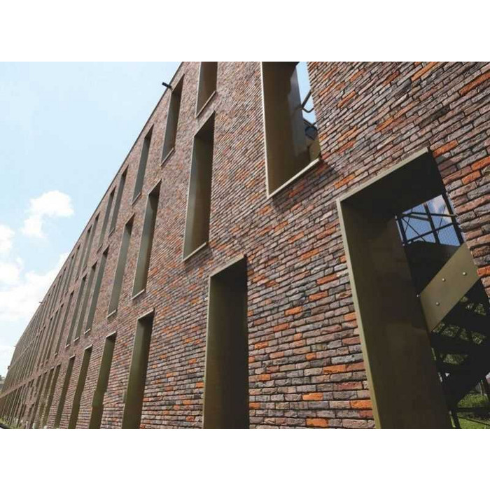 Кирпич облицовочный Terca Ringoven Paarsblauw, 208х98х38 мм фото 10