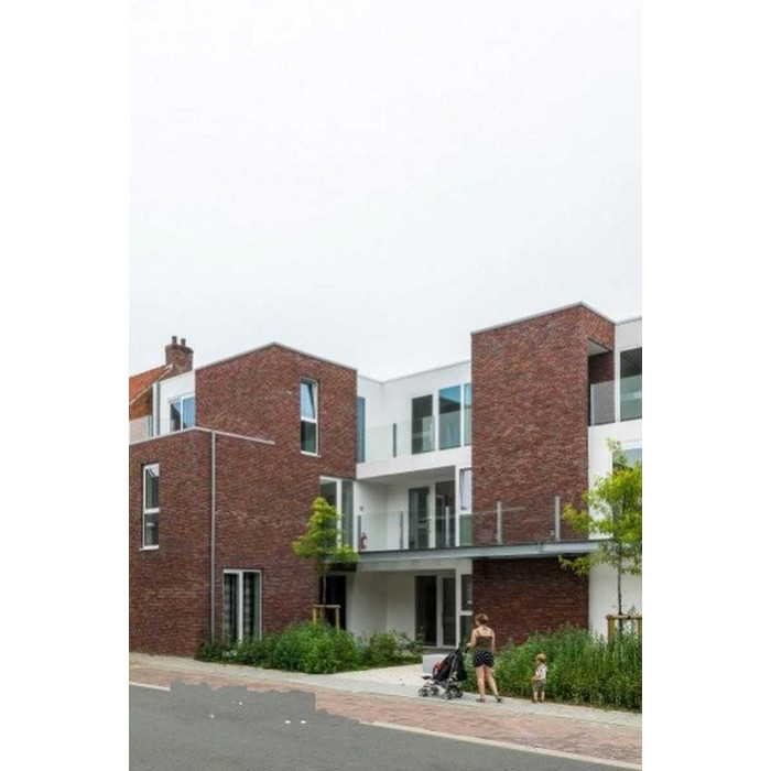 Кирпич облицовочный Terca Ringoven Paarsblauw, 208х98х38 мм фото 4