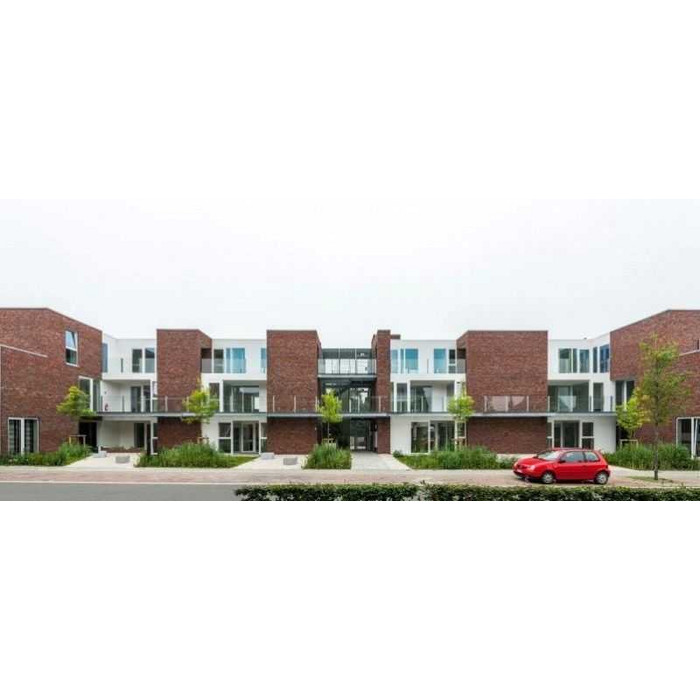 Кирпич облицовочный Terca Ringoven Paarsblauw, 208х98х38 мм фото 2