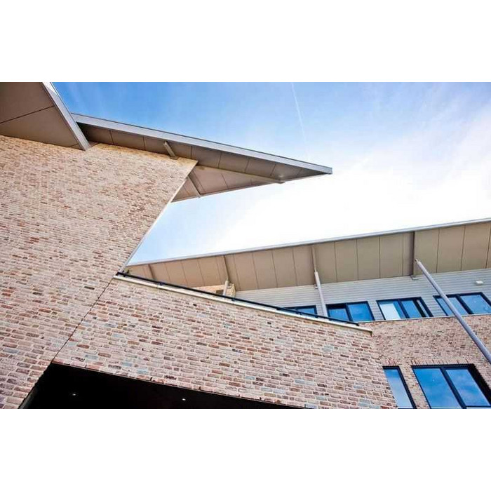 Кирпич облицовочный Terca Retro Den Kempenaar, 188х88х48 мм фото 8