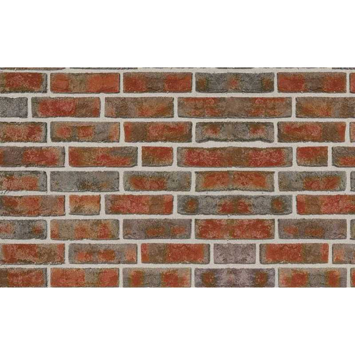 Кирпич облицовочный Roben Formback buntgeflammt, 240х54х71 мм