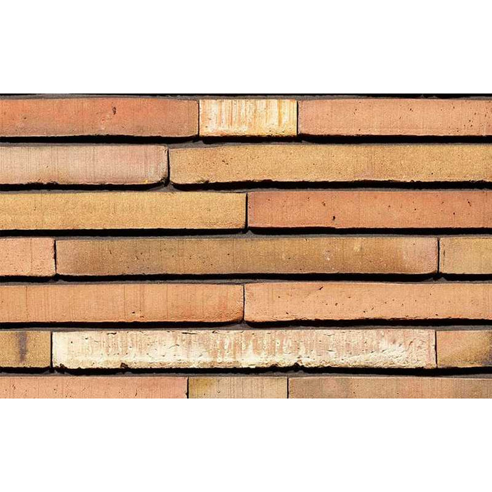 Кирпич облицовочный Terca Dignita, 400х100х40 мм