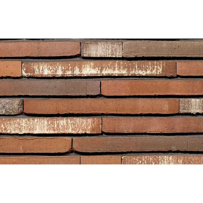 Кирпич облицовочный Terca Maestra, 400х100х40 мм