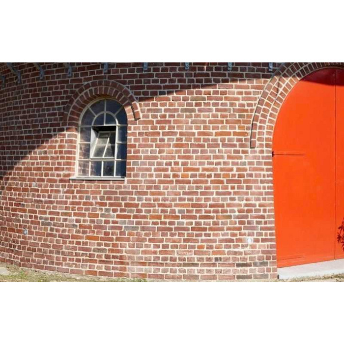 Кирпич облицовочный Terca Ringoven Maaseiker Bont, 208х98х63 мм фото 4