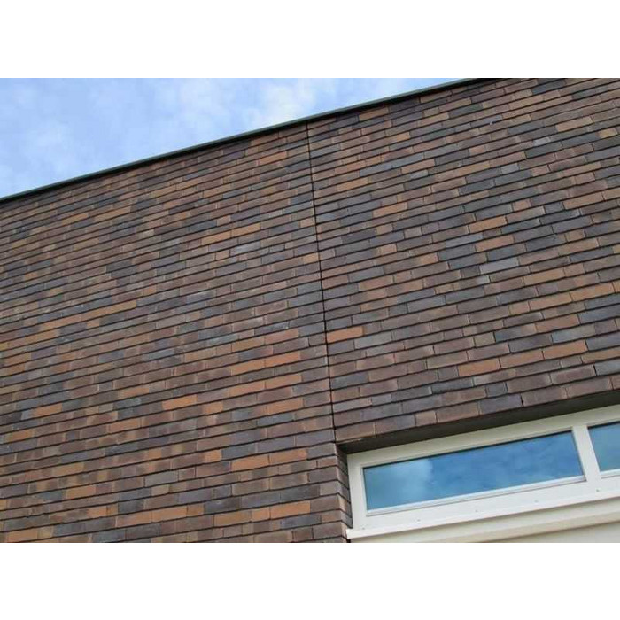 Кирпич облицовочный Terca Kogelbloem, 210х100х50 мм фото 8