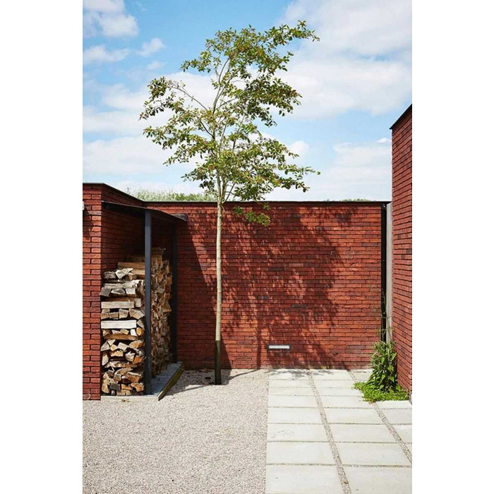 Облицовочный кирпич Terca Portsmouth, 215х45-50х65 мм фото 6