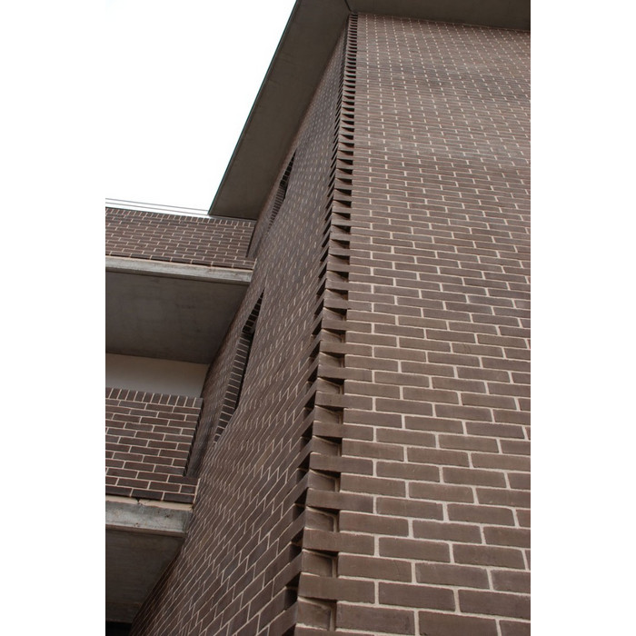 Кирпич S.Anselmo Superior Line Rosato, Standart, 250х120х55 мм фото 2