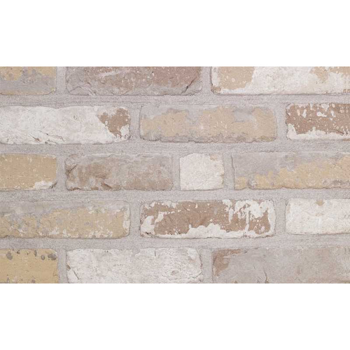 Кирпич облицовочный Terca Oud Laethem, 188х88х48 мм