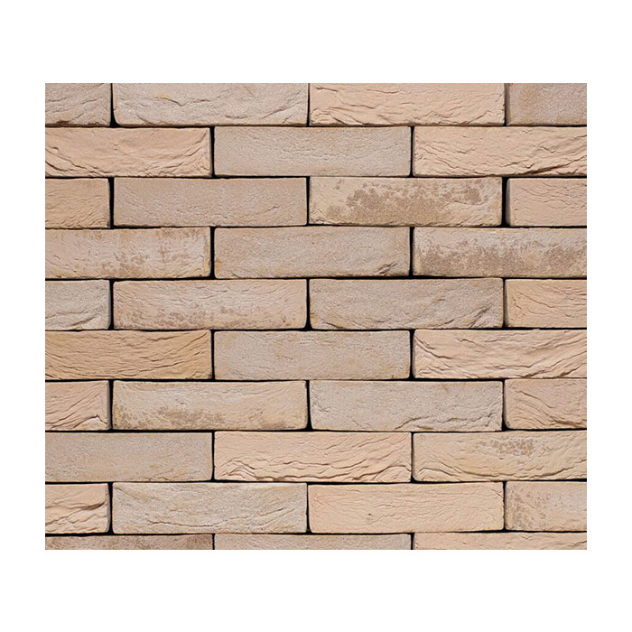 Кирпич S.Anselmo Custom blend AD, Selmo, 250х60х55 мм