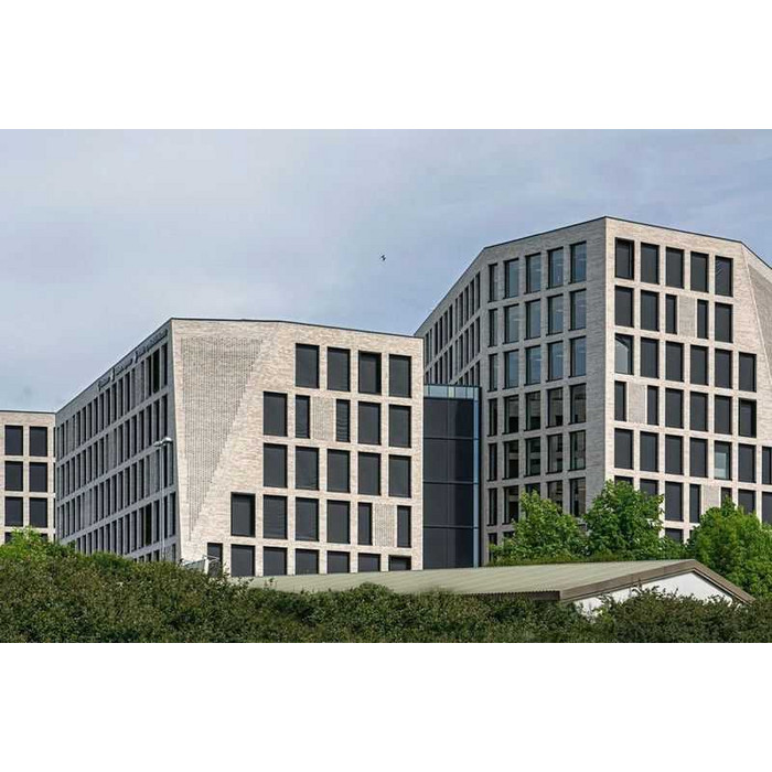 Кирпич облицовочный Randers Tegl Unika RT554, 215х102х65 мм фото 9