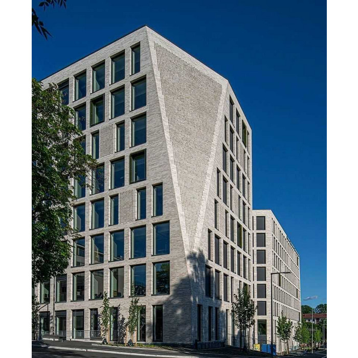 Кирпич облицовочный Randers Tegl Unika RT554, 215х102х65 мм фото 5