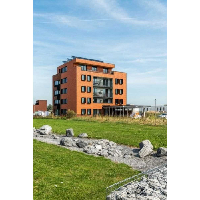 Кирпич облицовочный Terca Rood-Bruin Iluzo, 238х88х48 мм фото 3