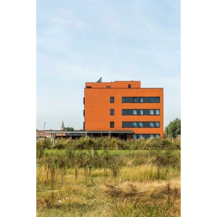 Кирпич облицовочный Terca Rood-Bruin Iluzo, 238х88х48 мм фото 6