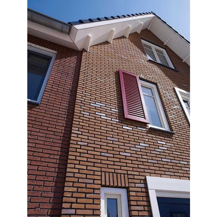 Кирпич облицовочный Terca Passiebloem, 210х100х50 мм фото 4