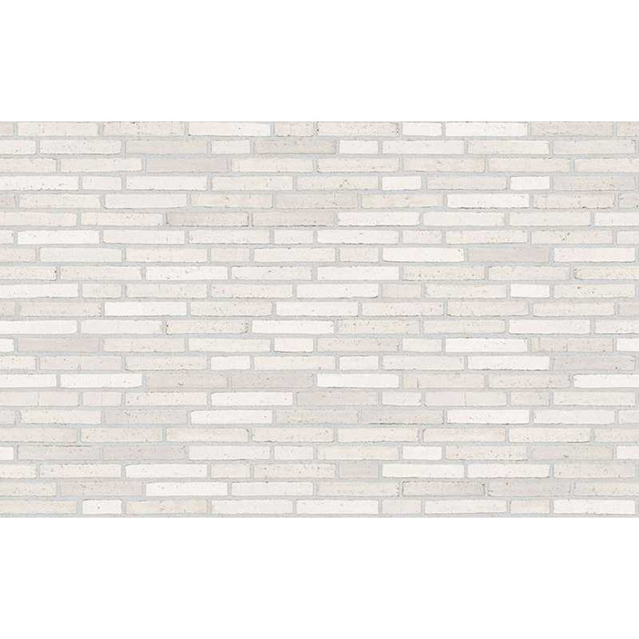 Кирпич облицовочный Randers Tegl Unika RT562, 228х108х40 мм