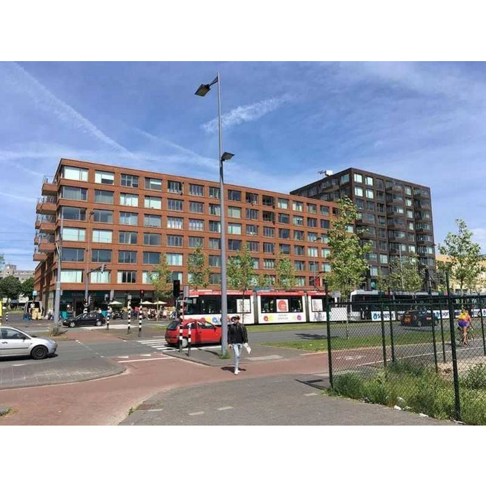 Кирпич облицовочный Terca Goudsbloem, 210х100х50 мм фото 2