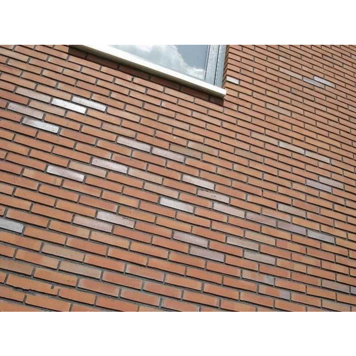 Кирпич облицовочный Terca Goudsbloem, 210х100х50 мм фото 6