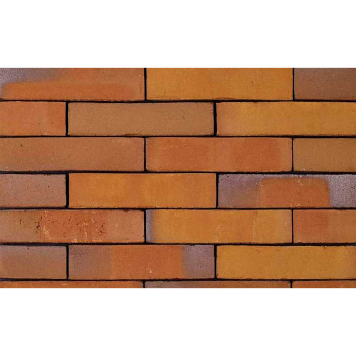 Кирпич облицовочный Terca Goudsbloem, 210х100х50 мм