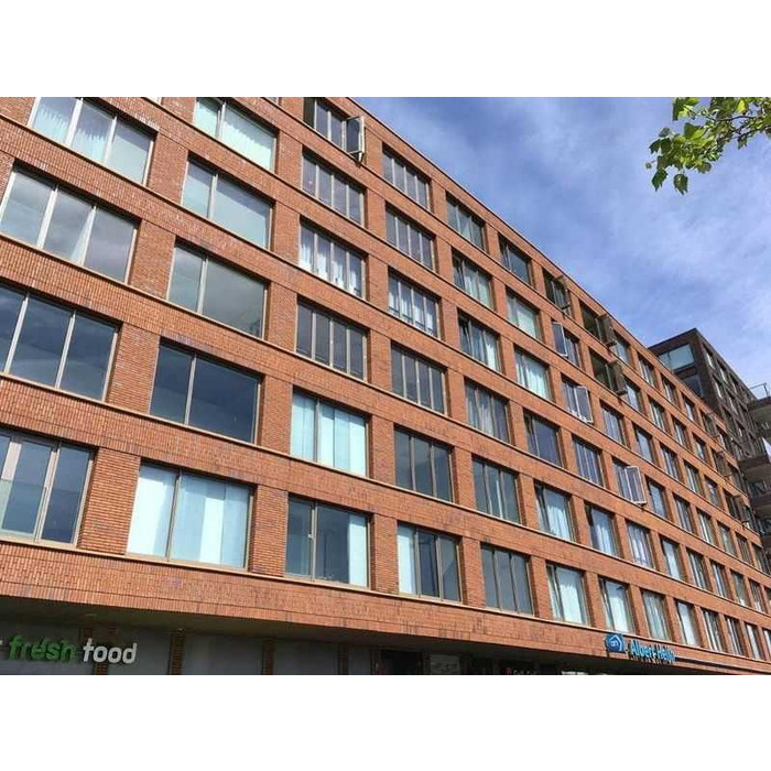 Кирпич облицовочный Terca Goudsbloem, 210х100х50 мм фото 3