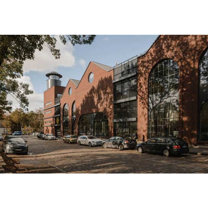 Кирпич клинкерный Terca Tallin, 250х85х65 мм фото 8