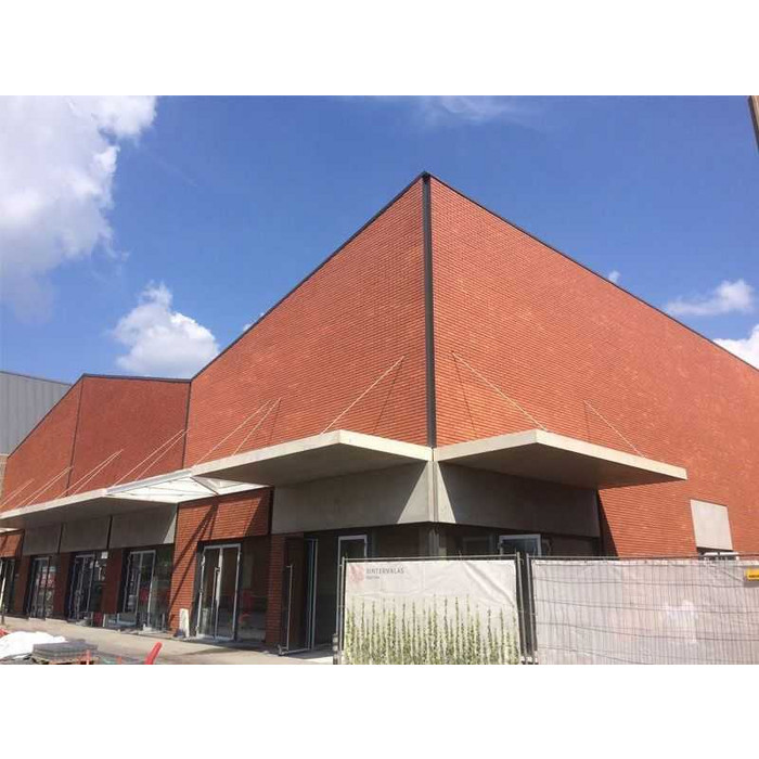 Кирпич клинкерный Terca Tallin, 250х85х65 мм фото 5